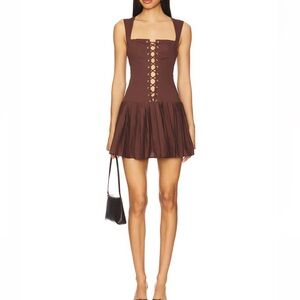 Brown Mini Dress (Revolve)